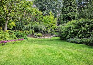 Optimiser l'expérience du jardin à Poubeau